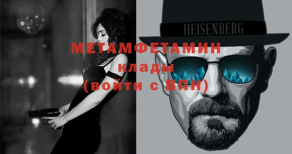 индика Туринск
