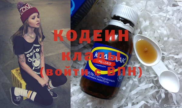 ешки Ельня