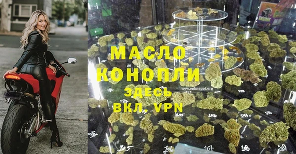 ешки Ельня