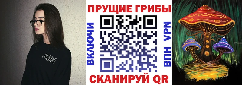 Галлюциногенные грибы Psilocybine cubensis  Заводоуковск 
