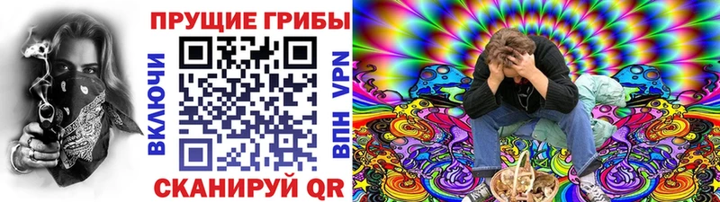 Псилоцибиновые грибы GOLDEN TEACHER Заводоуковск