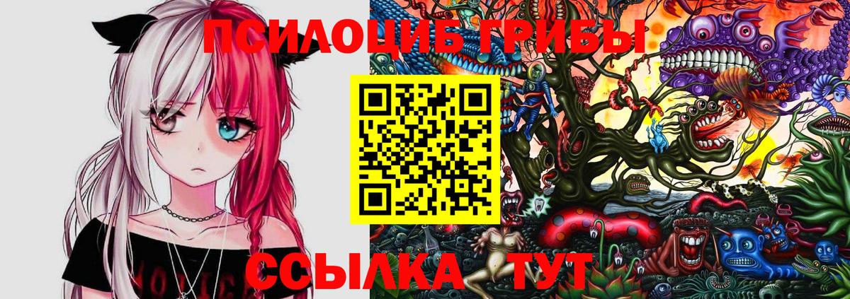 Псилоцибиновые грибы Cubensis Заводоуковск