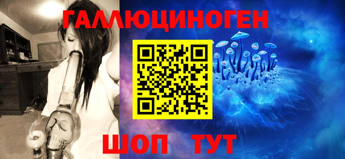 Галлюциногенные грибы мицелий  Вход с VPN  закладка  Заводоуковск 
