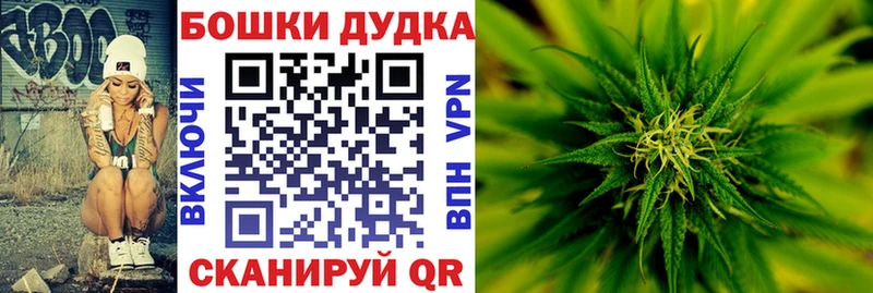 mega ссылка  Заводоуковск  Каннабис Amnesia  купить наркоту 